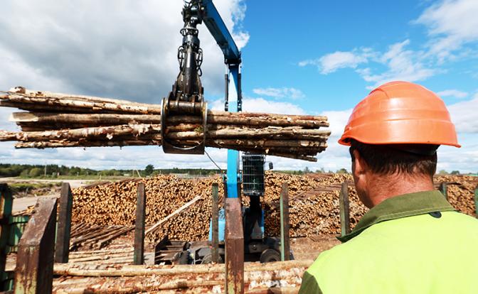 Европа в негодовании: ВТО должна вмешаться и наказать Россию за «фокусы» с древесиной — почему так дорого?